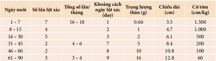 kích thích tôm lột xác đồng loạt, nhanh cứng vỏ