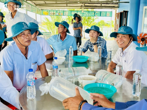 quy trình sản xuất tôm giống