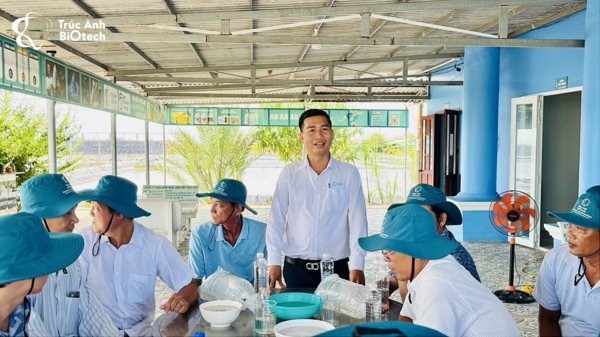 quy trình sản xuất tôm giống