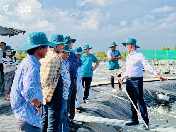 quy trình sản xuất tôm giống
