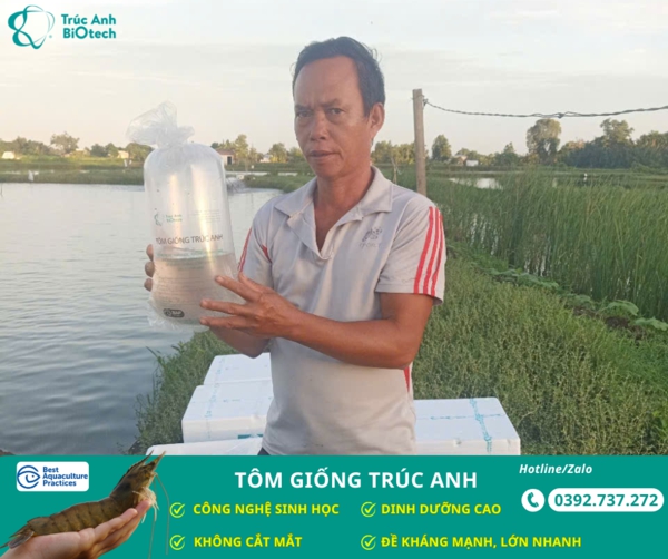 tom giong truc anh