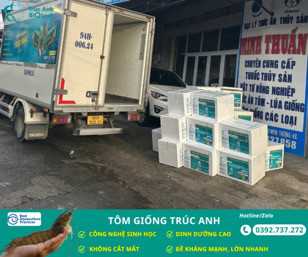 tom giong truc anh
