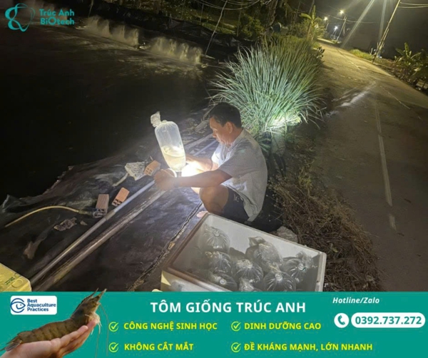tom giong truc anh