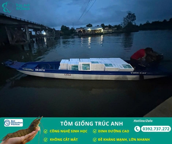 tom giong truc anh