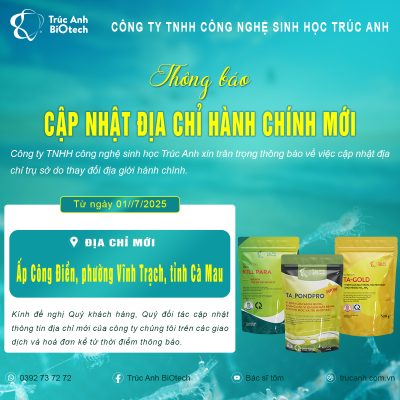 địa chỉ hành hành chính mới sau sát nhập