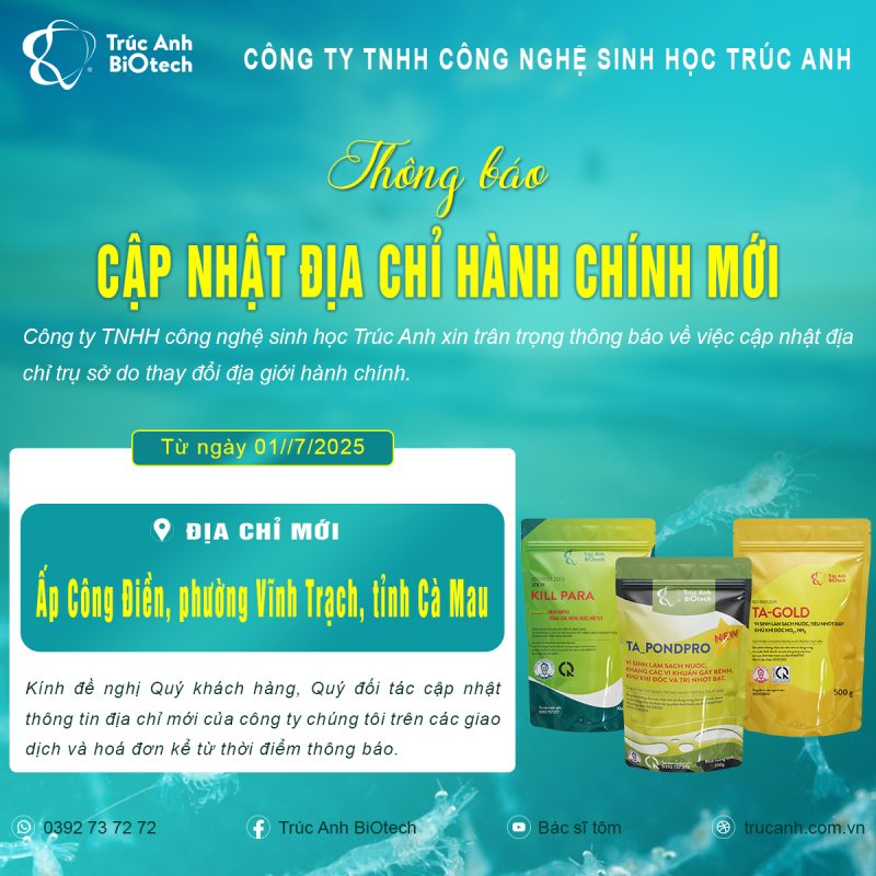 địa chỉ hành hành chính mới sau sát nhập