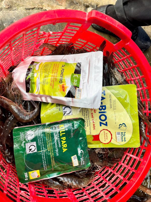 thu tom khach hang Soc Trang-4