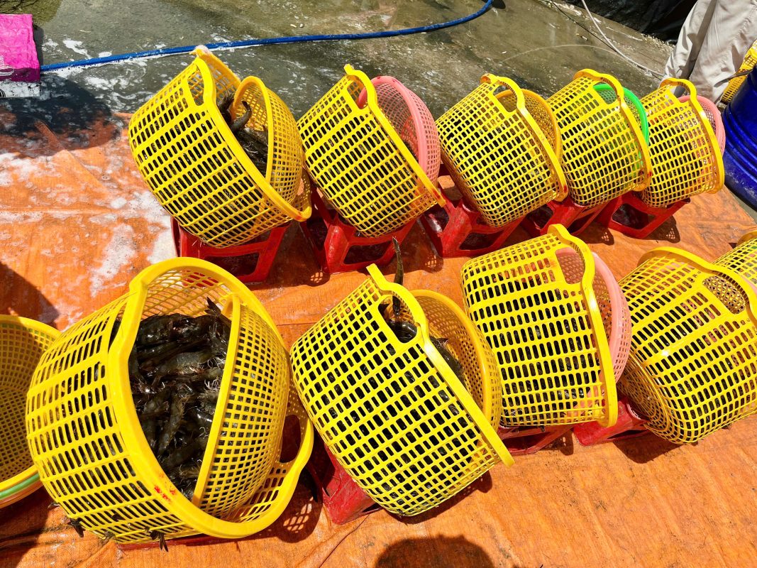 thu tom khach hang Soc Trang-4