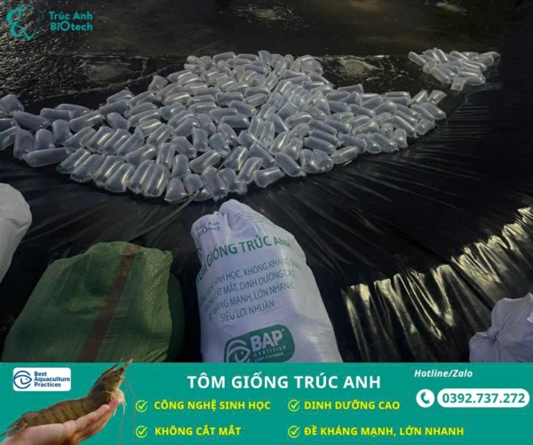 tom giong truc anh