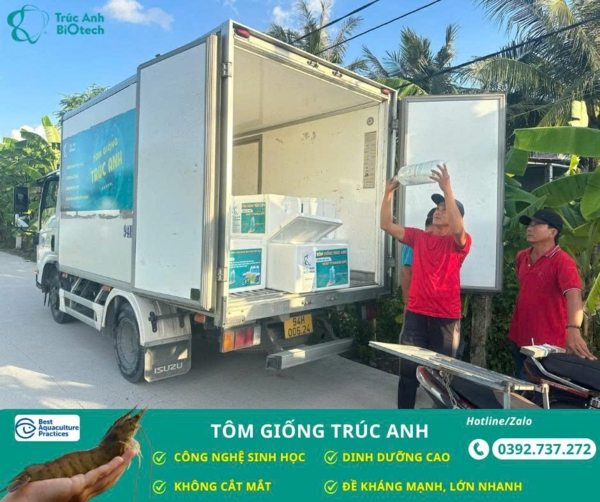 tom giong truc anh