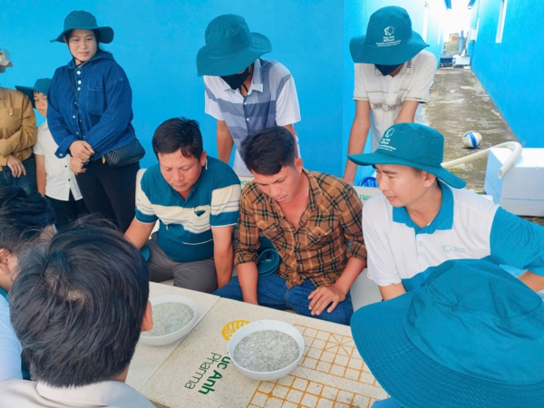 trai sản xuat tom giong