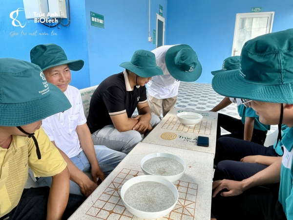 trại sản xuất tôm giống
