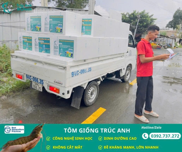 lo tom post, tom the chan trang 04