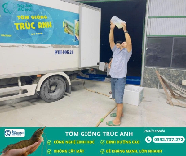 lo tom post, tom the chan trang 04