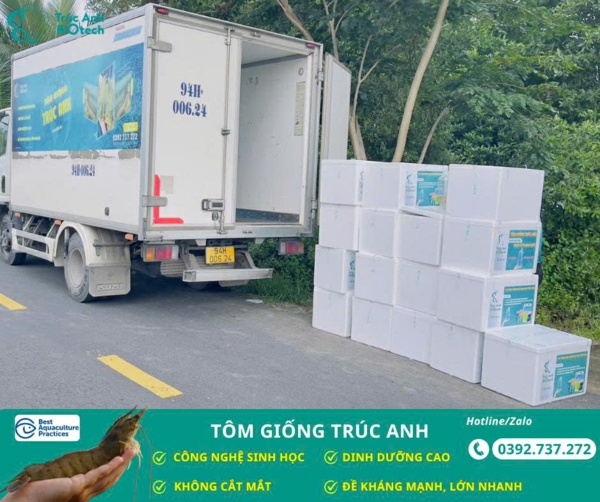 lo tom post, tom the chan trang 04