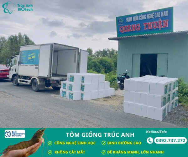 lo tom post, tom the chan trang 04