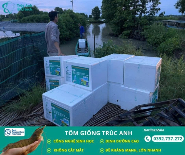 lo tom post, tom the chan trang 04