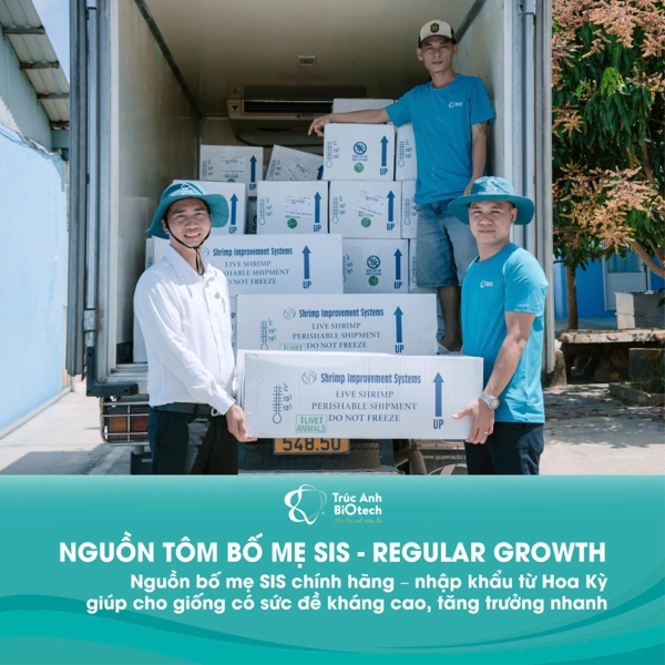 chứng nhận nhập khẩu tôm giống